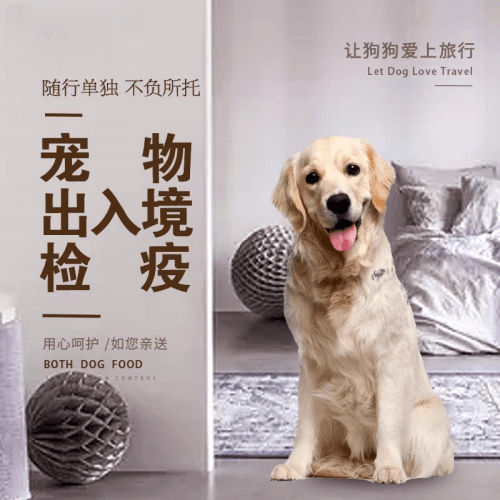 台南市宠物托运到哥伦比亚猫狗宠物入境规定和