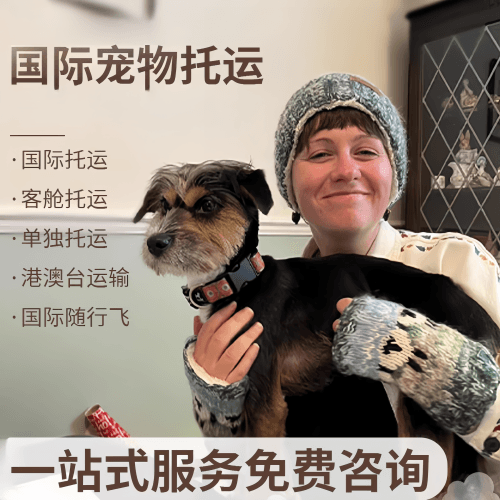 台南市国际宠物托运到阿根廷宠物入境规定和要