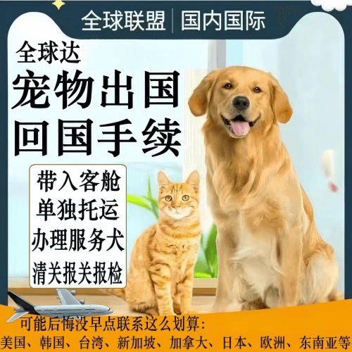 台南市宠物托运到柬埔寨宠物入境规定和要求