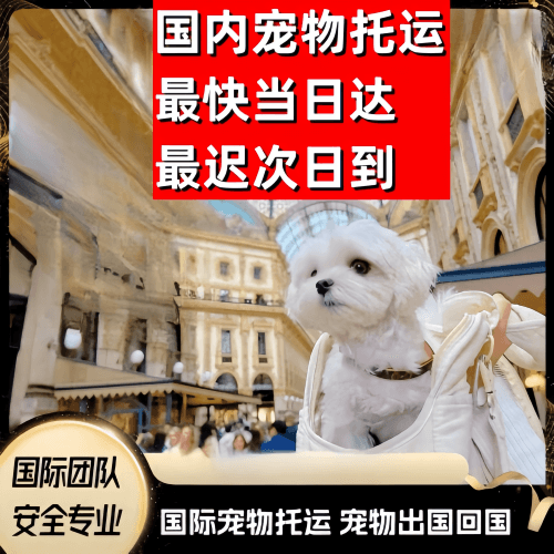 台南市到澳大利亚（澳洲）宠物入境规定和要求