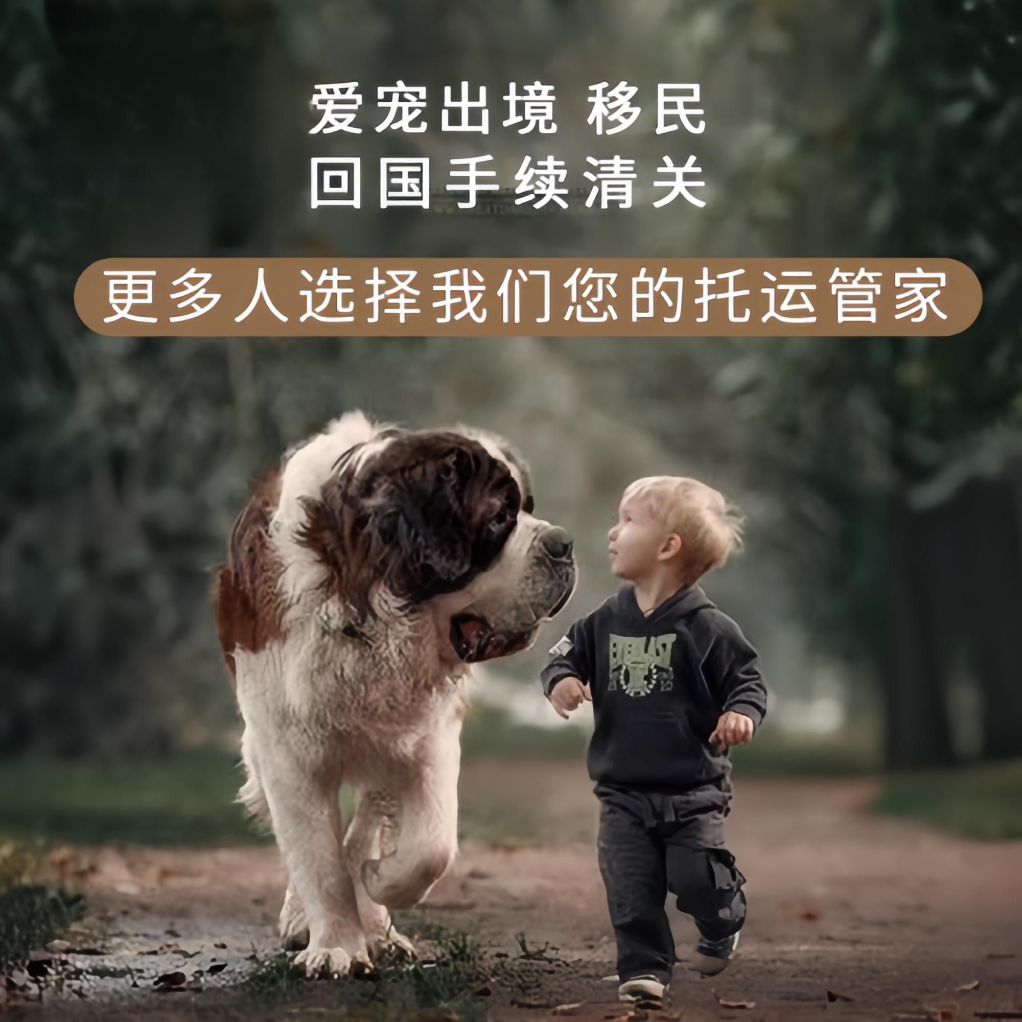 满财台南市宠物全球达宠物托运在遵守入境目的地政策的条件