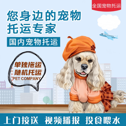 满财台南市宠物全球达宠物托运作为专业的宠物运输代理机构